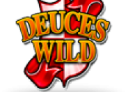 Deuces Wild Power Poker logo