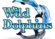 Wild Dolphins logo