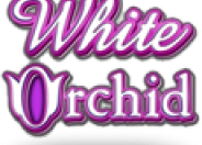 White Orchid logo