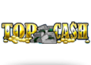 Top Cash logo
