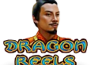 Dragon Reels logo
