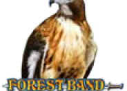 Forest Band logo