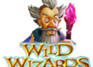 Wild Wizards logo