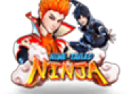 Nine-Tailed Ninja logo