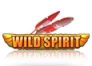 Wild Spirit logo