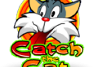 Catch the Cat logo