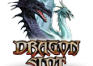 Dragon Slot logo
