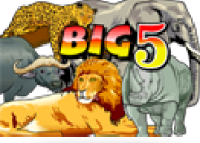 Big 5 Slot logo
