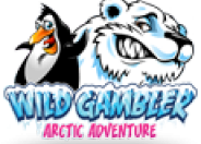 Wild Gambler - Arctic Adventure logo
