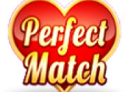 Perfect Match logo