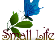 Small Life logo
