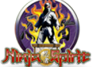 Ninja Spirit logo