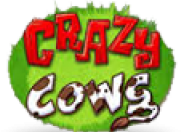 Crazy Cows logo