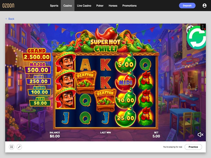 Ozoon screenshot 4