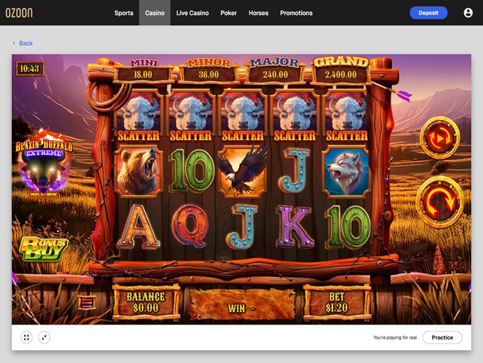 Ozoon screenshot 5