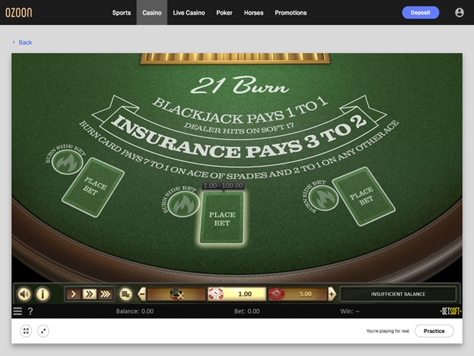 Ozoon screenshot 6