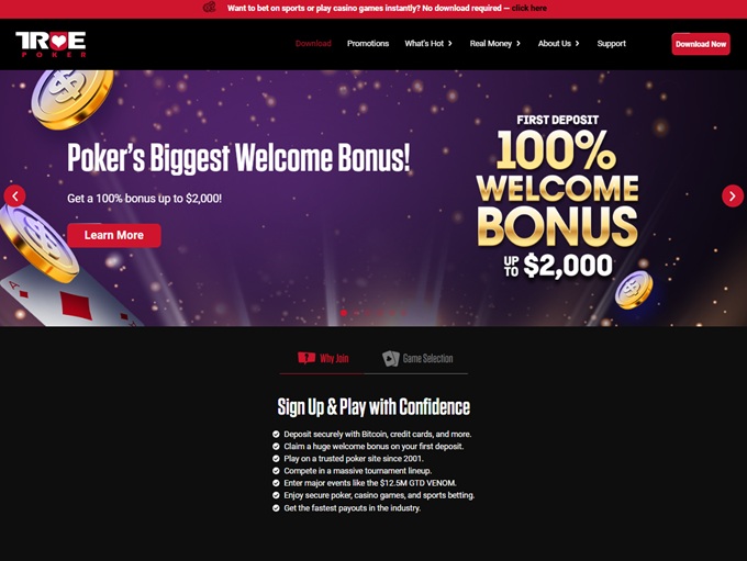 True Poker screenshot 1