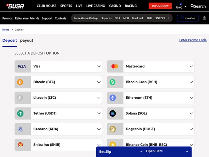 BUSR screenshot 3