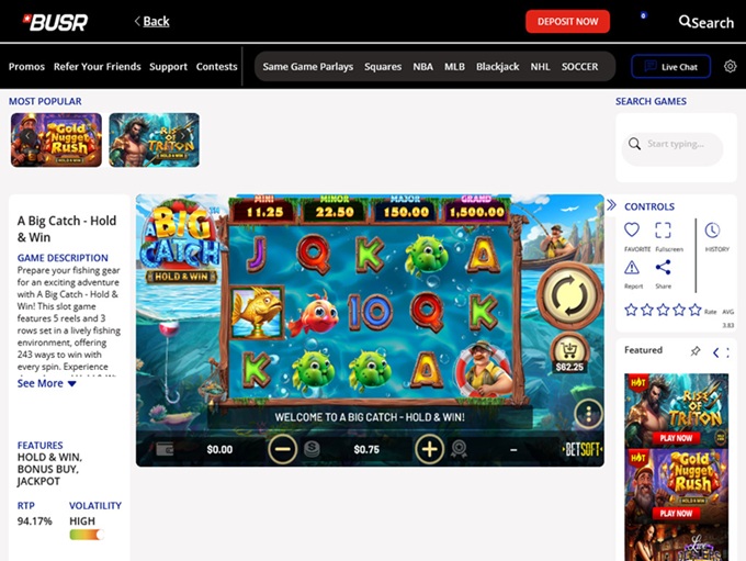 BUSR screenshot 4