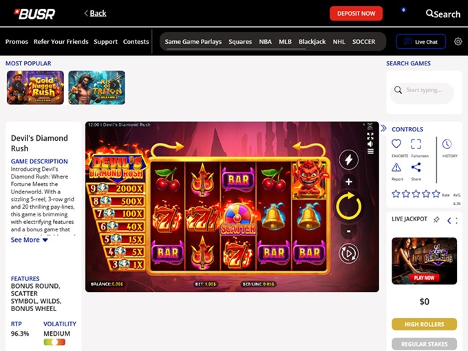 BUSR screenshot 5