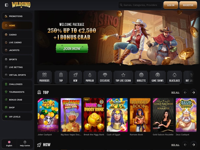 Wildsino Casino screenshot 1