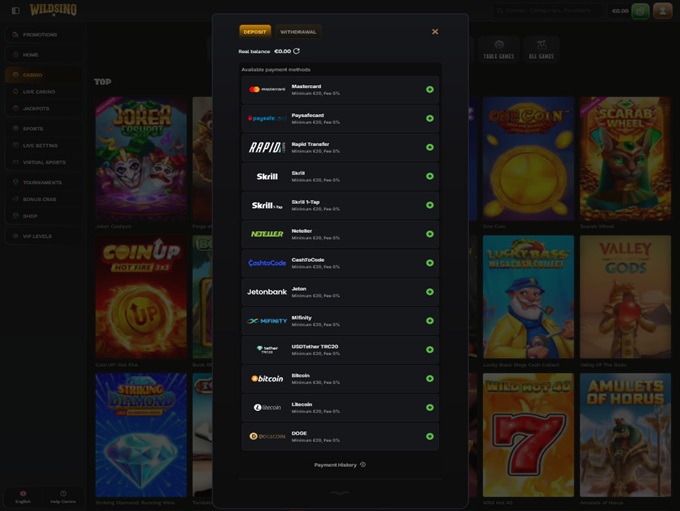 Wildsino Casino screenshot 3