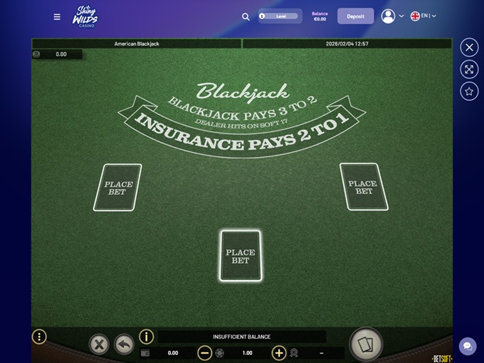 Shiny Wilds Casino screenshot 6