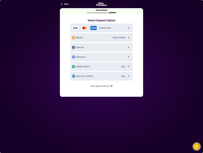 SlotsParadise Casino screenshot 3