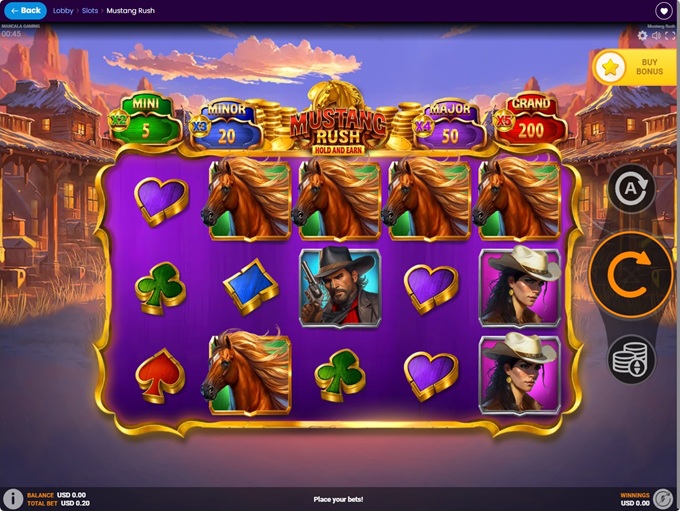 SlotsParadise Casino screenshot 5