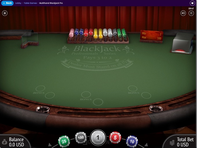 SlotsParadise Casino screenshot 6