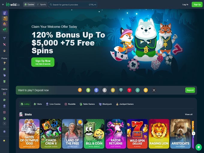 Wild.io Casino lobby