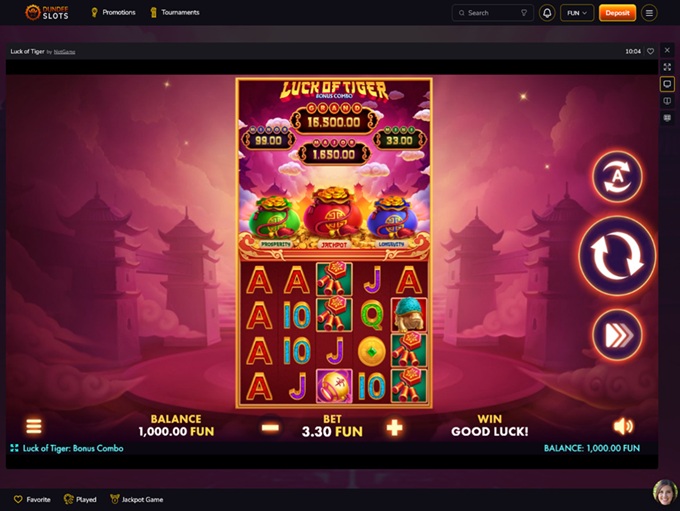 Dundeeslots Casino screenshot 4