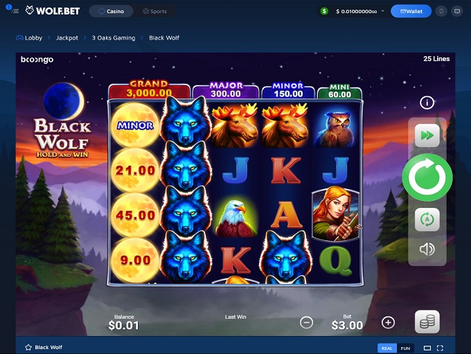 Wolf.Bet Casino screenshot 5