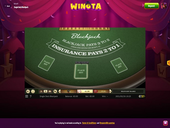 Winota Casino screenshot 6