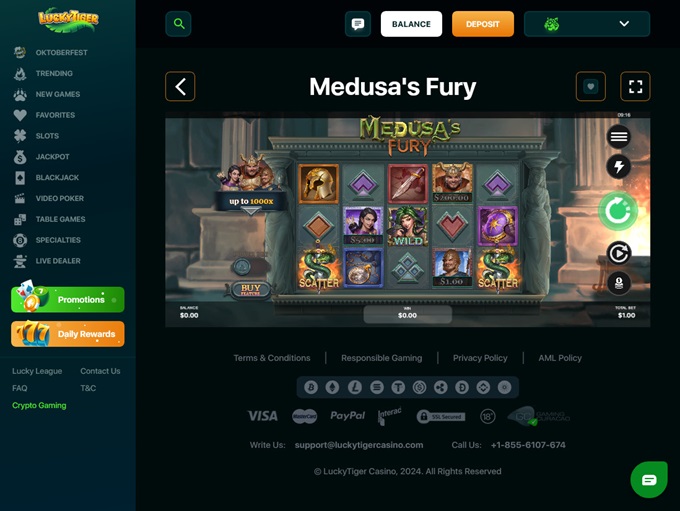 Lucky Tiger Casino screenshot 4