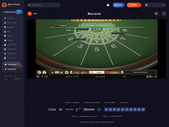 Rich Palms Casino screenshot 6