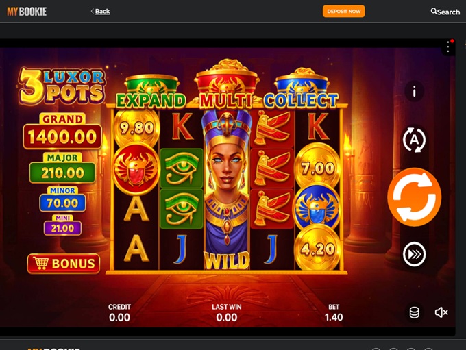 MyBookie Casino screenshot 5