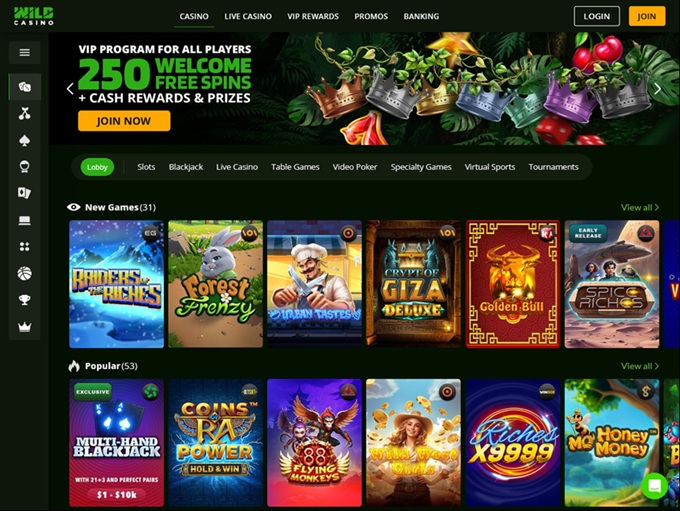 Wild Casino lobby