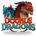Double Dragons logo