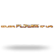 Golden Flower of Life logo