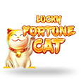Lucky Fortune Cat logo