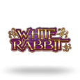 White Rabbit logo