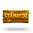 Stampede logo