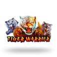 Tiger Warrior logo