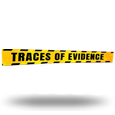 Traces Of Evidence logo
