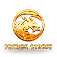 Dragon Riches logo