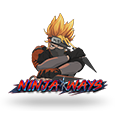 Ninja Ways logo