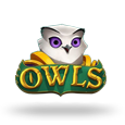 Owls logo