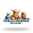 Vikings Fortune Hold and Win logo
