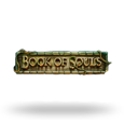 Book Of Souls logo